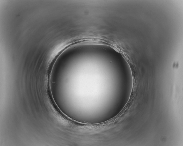 X0000092010005200709131545