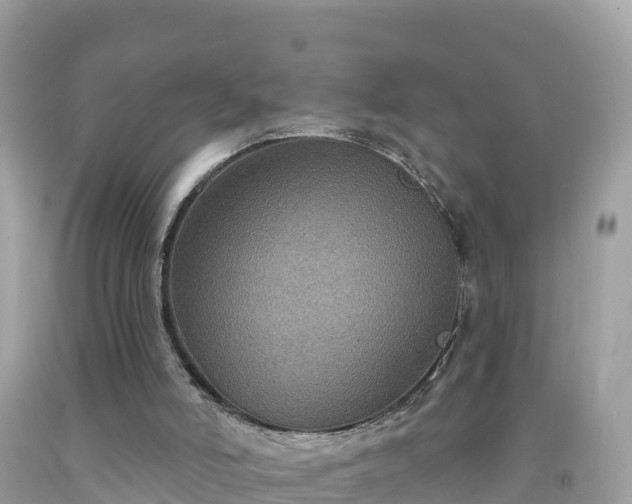 X0000092010006200709131544