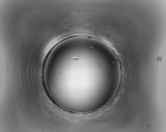X0000092010007200709131544