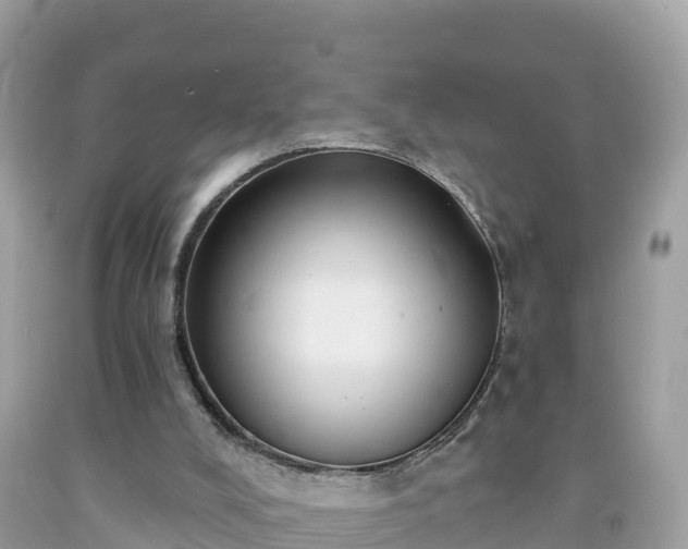 X0000092010008200709131544