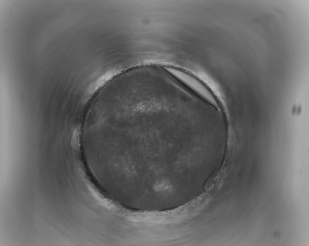 X0000092010009200709131544