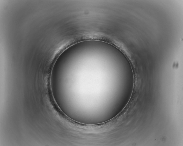 X0000092010010200709131544