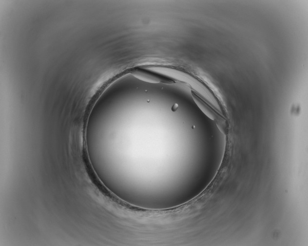 X0000092010011200709131544