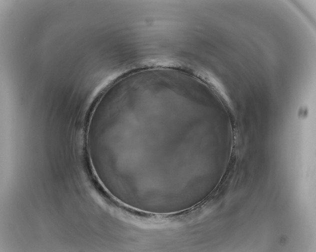 X0000092010012200709131544