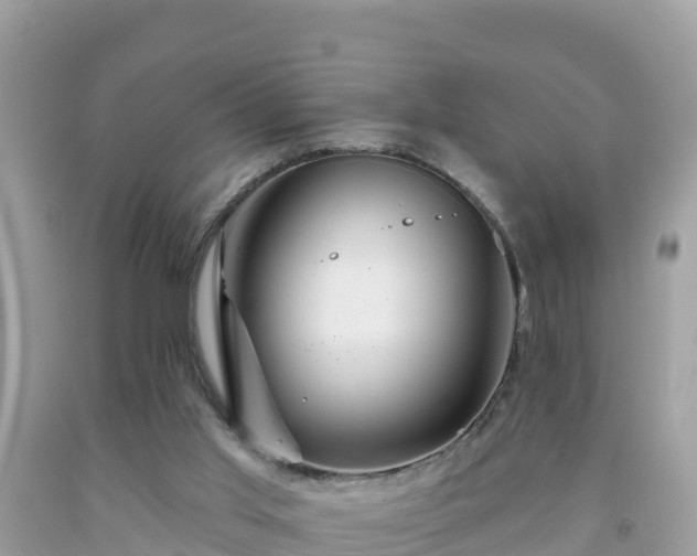 X0000092010013200709131544