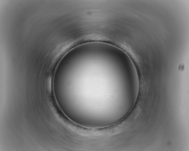 X0000092010014200709131544