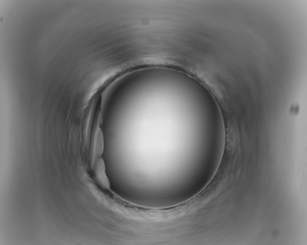 X0000092010015200709131544