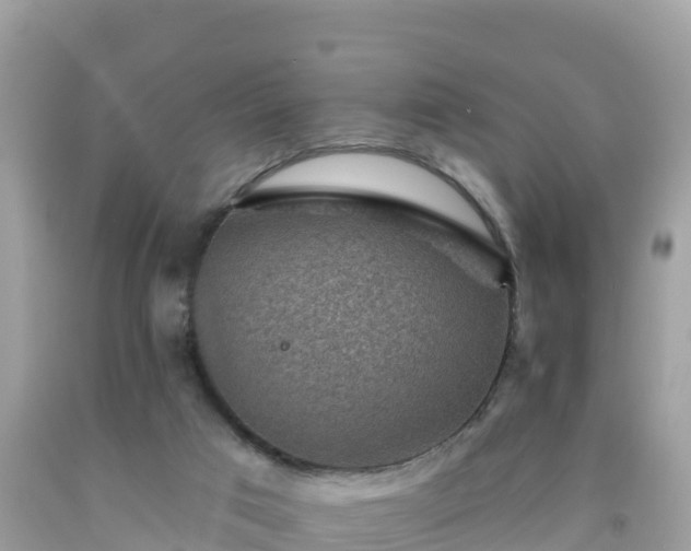 X0000092010017200709131544