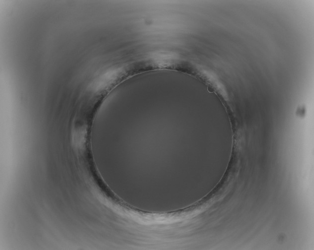 X0000092010018200709131544