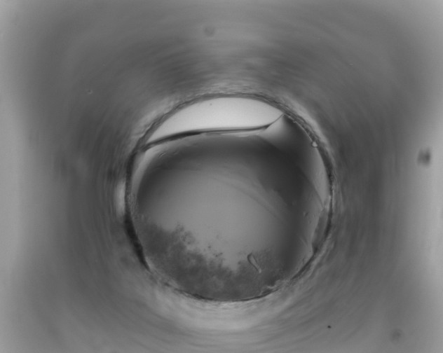 X0000092010019200709131544