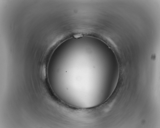X0000092010020200709131544
