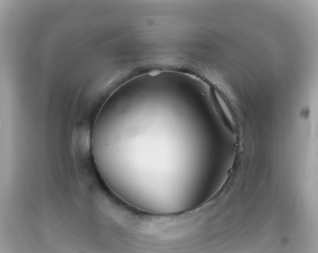 X0000092010021200709131544