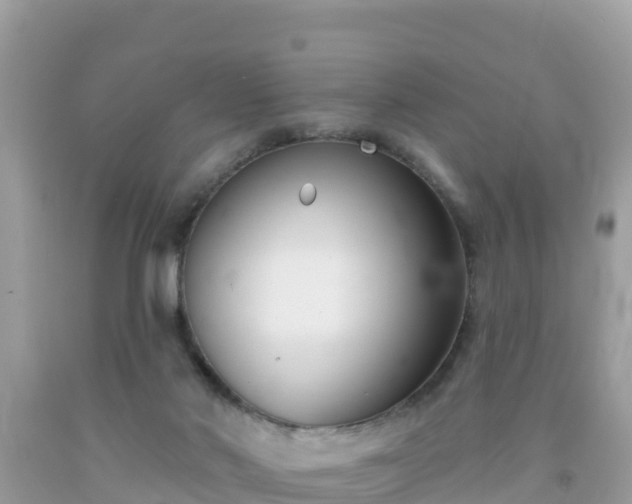 X0000092010022200709131544