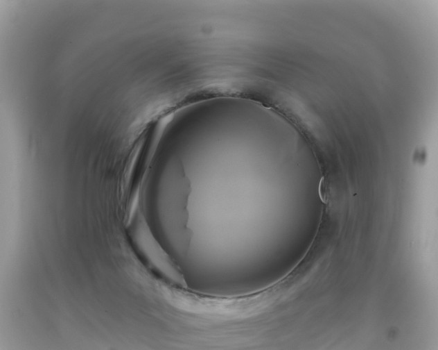 X0000092010023200709131544