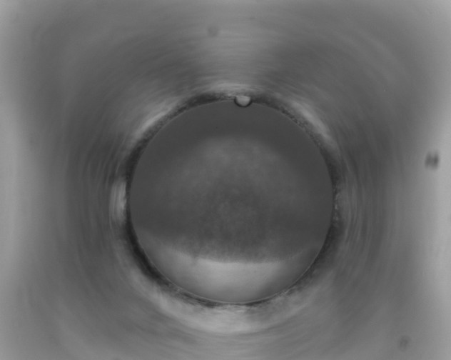 X0000092010024200709131544