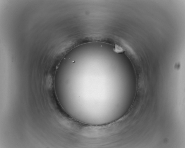 X0000092010025200709131544