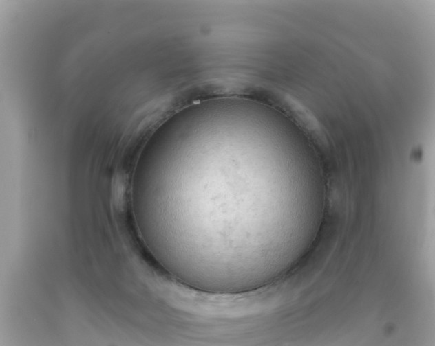 X0000092010026200709131544