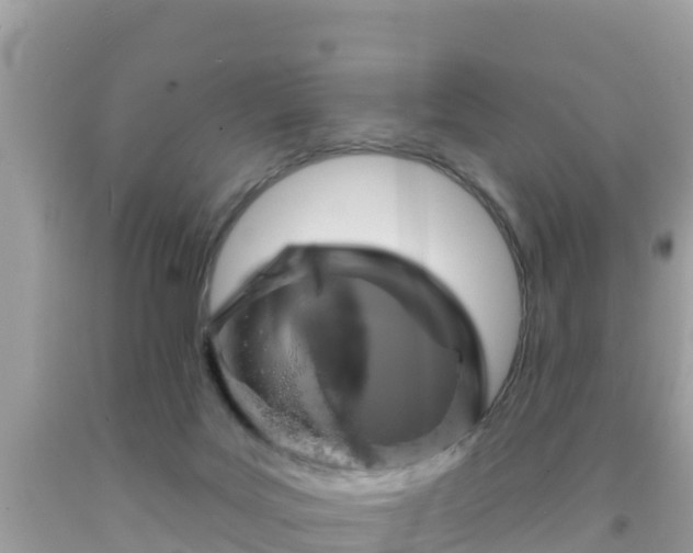 X0000092010027200709131544