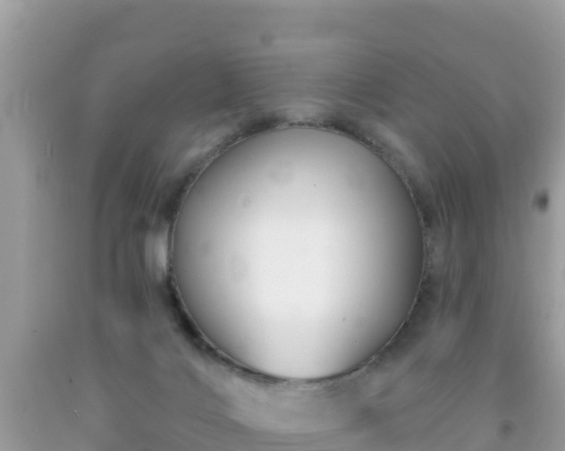 X0000092010028200709131544