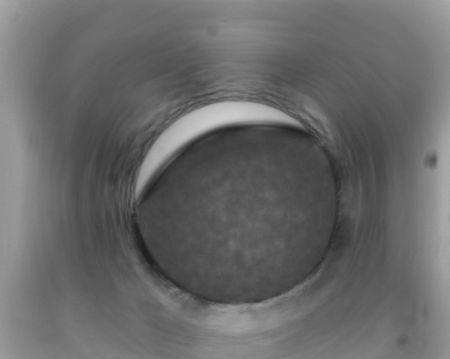 X0000092010029200709131544