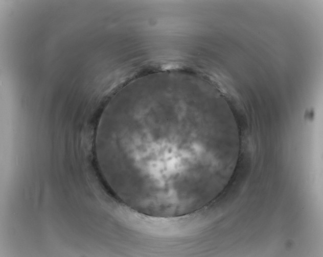X0000092010030200709131544