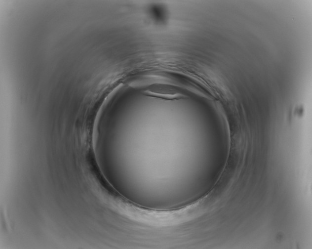 X0000092010031200709131544