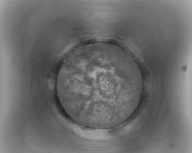 X0000092010032200709131544
