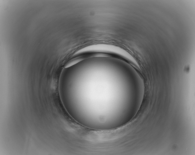 X0000092010033200709131544