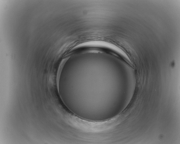 X0000092010035200709131544