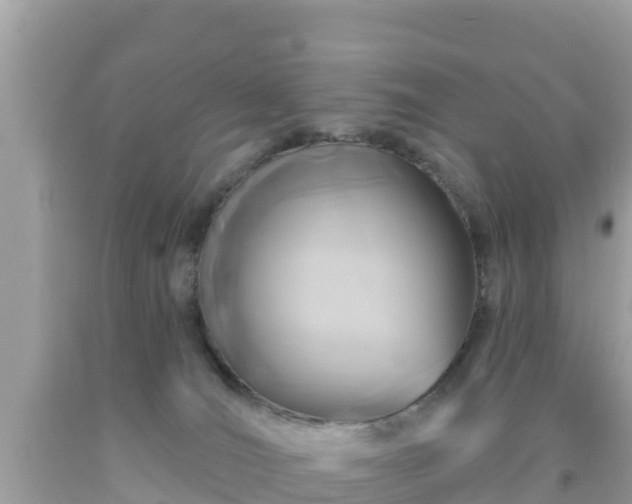 X0000092010036200709131544