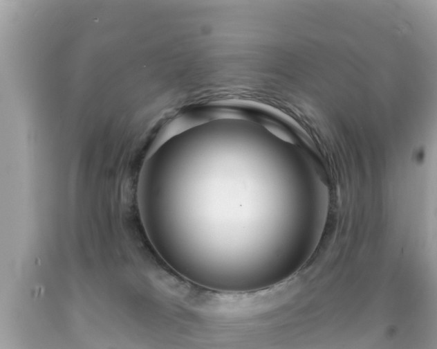 X0000092010037200709131544