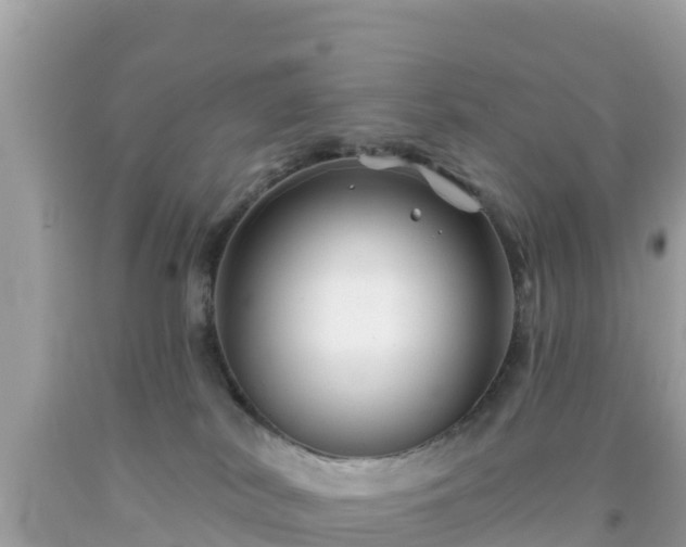 X0000092010038200709131544