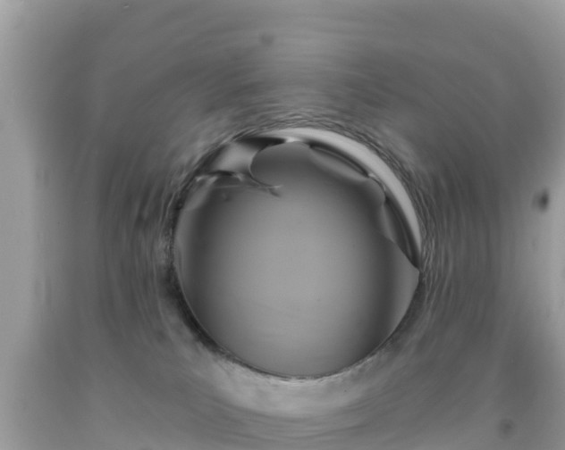 X0000092010039200709131544