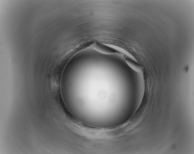 X0000092010040200709131544