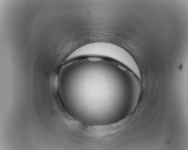 X0000092010041200709131544