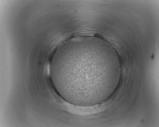 X0000092010042200709131544
