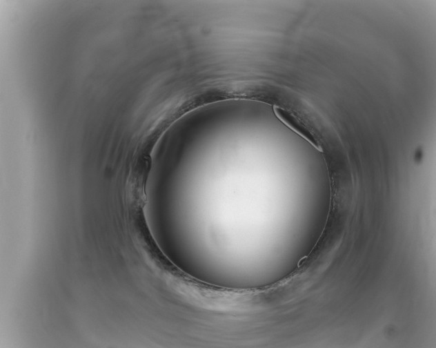 X0000092010044200709131544