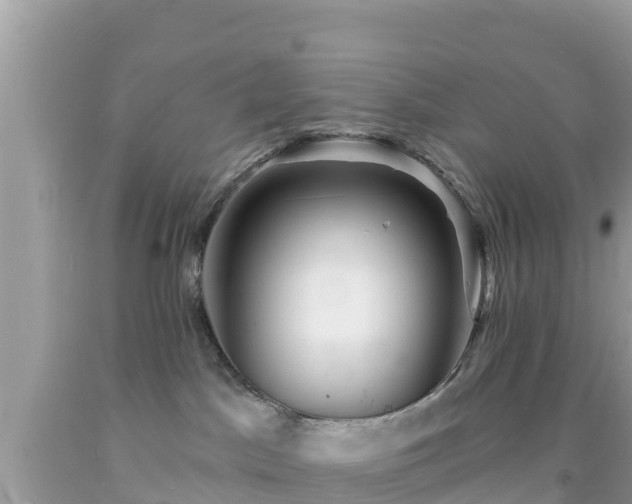 X0000092010045200709131544