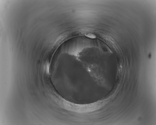 X0000092010046200709131544