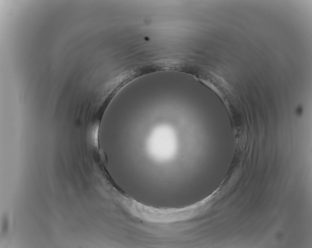 X0000092010047200709131544