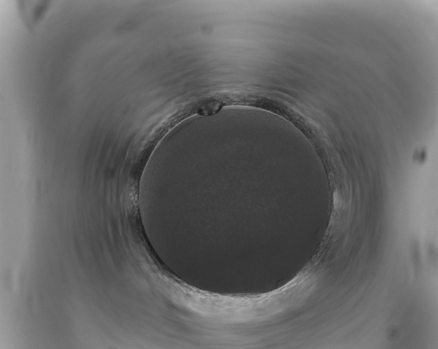 X0000092010048200709131544