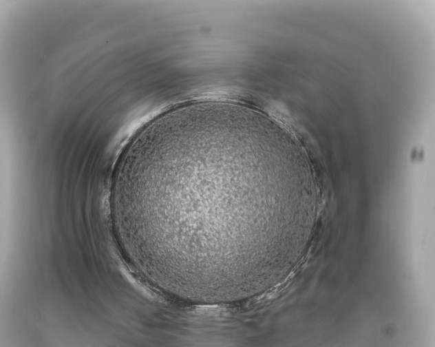X0000092010050200709131543