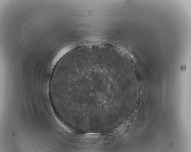 X0000092010051200709131543
