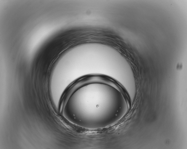 X0000092010052200709131543
