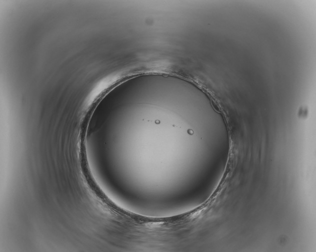 X0000092010054200709131543