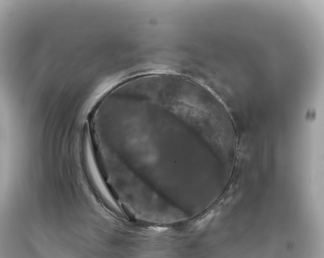 X0000092010055200709131543