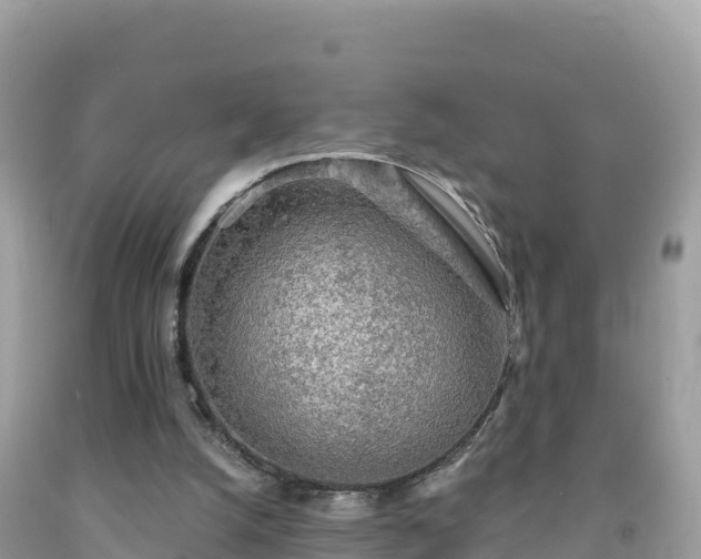 X0000092010056200709131543
