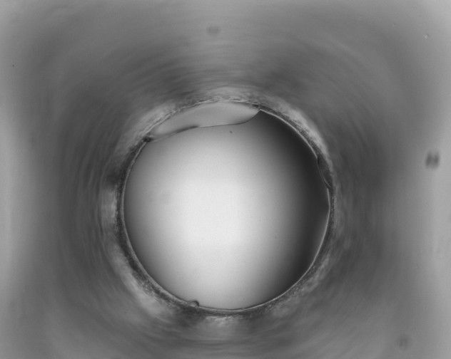 X0000092010057200709131543