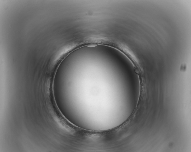 X0000092010058200709131543