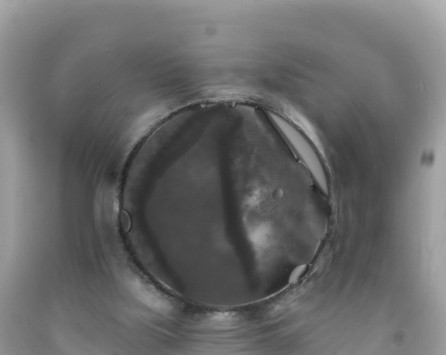 X0000092010059200709131543
